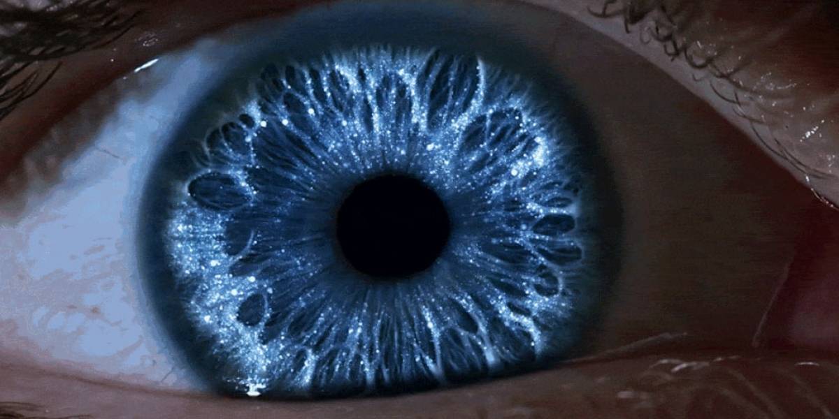 Samsung se refiere a lo del escáner de iris vulnerado con una foto impresa