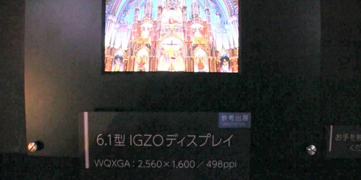 Sharp sorprende con una pantalla de 6,1 pulgadas y resolución de 2560x1600 píxeles