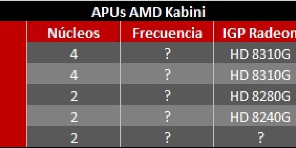 Rumor: AMD lanzará cinco APUs Kabini en junio