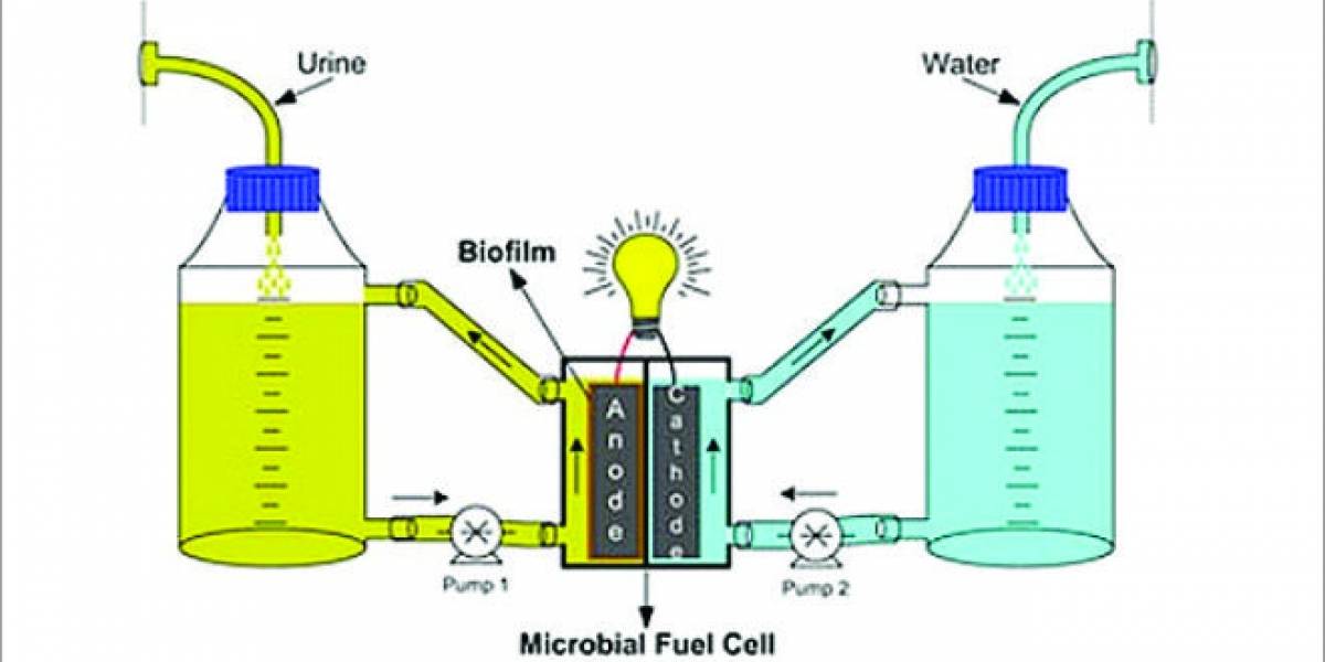 Investigadores convierten orina en Bio-combustible