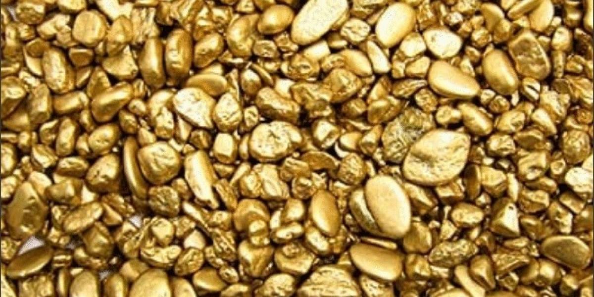Delftia acidovorans: La bacteria “Midas” que produce oro