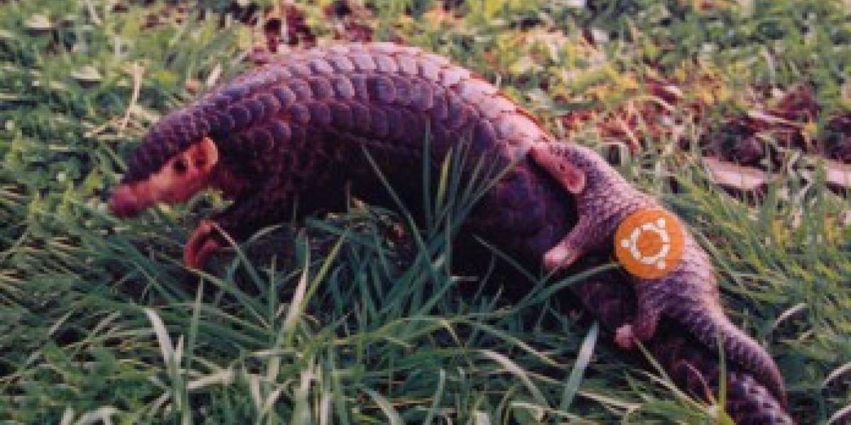 Los cambios que traerá la futura versión Ubuntu 12.04 Precise Pangolin
