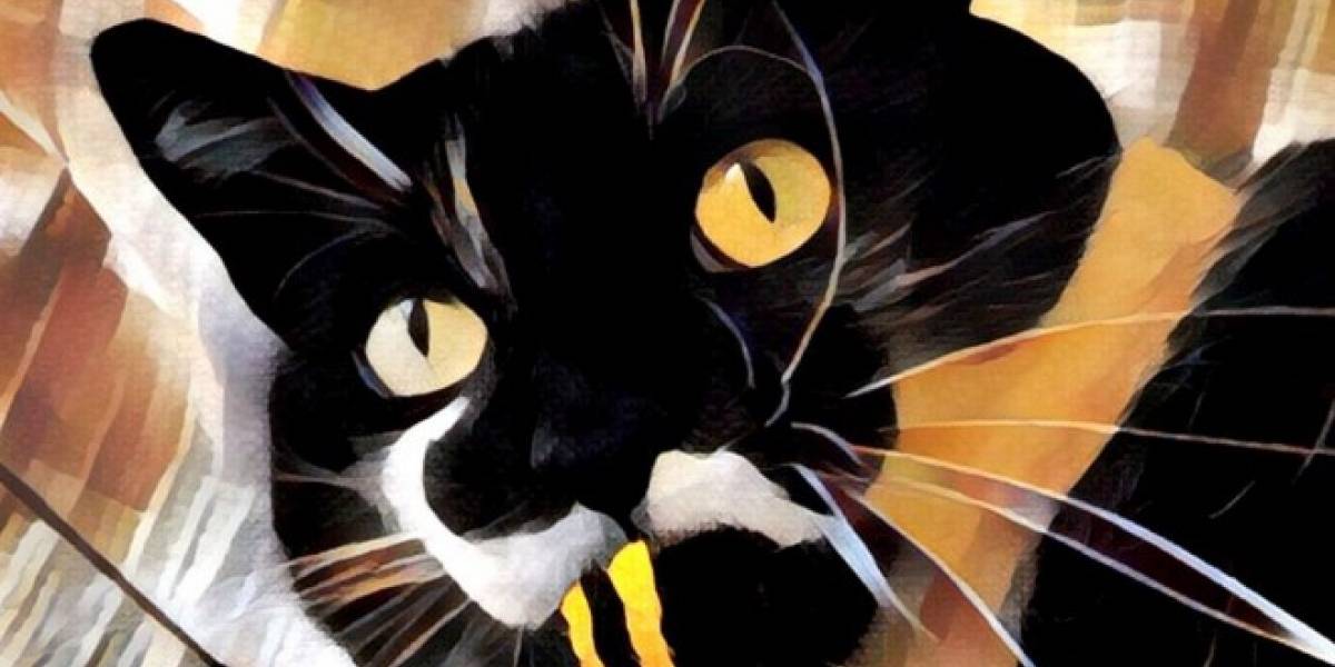 Prisma para iOS ya puede procesar filtros offline