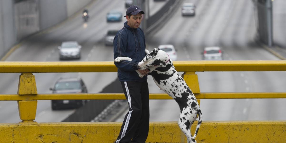 Frente frío 25 provocará bajas temperaturas, lluvias y nevadas