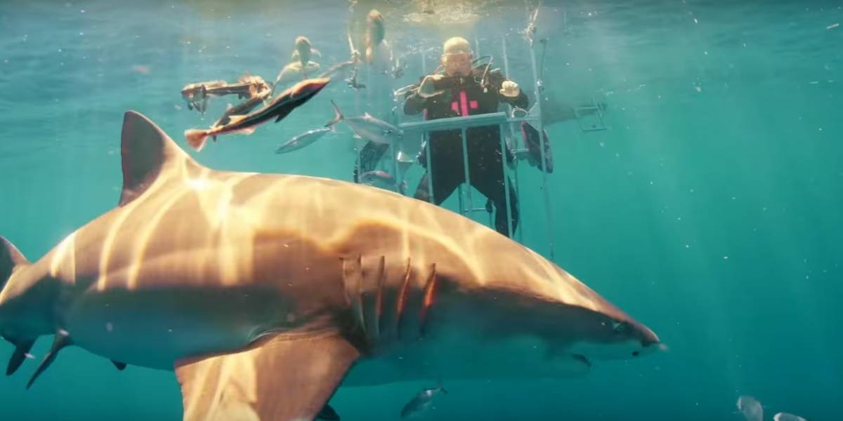 Hacen unboxing del Galaxy S8 bajo el agua... y rodeado de tiburones