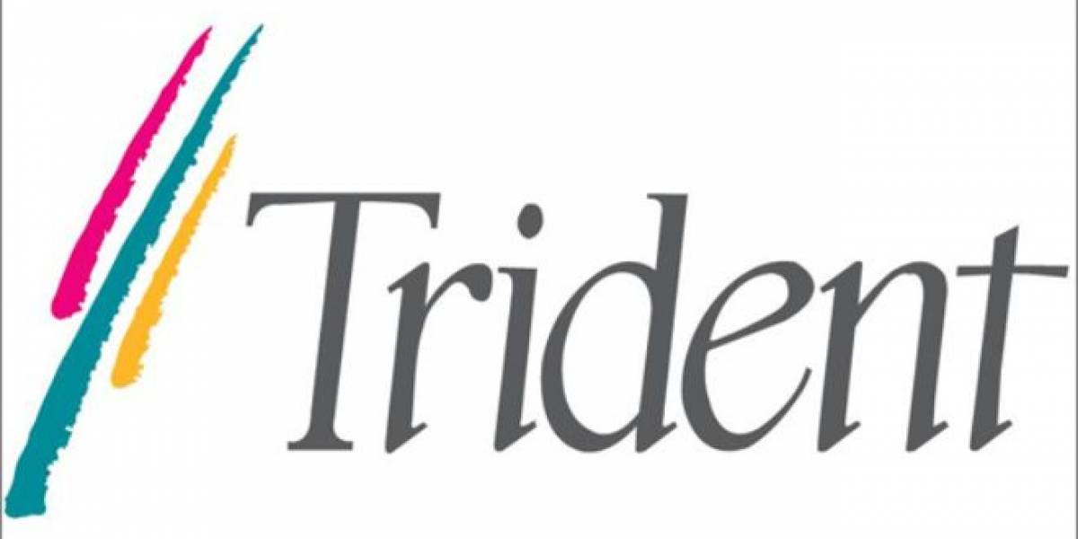 Trident Microsystems se declara en bancarrota