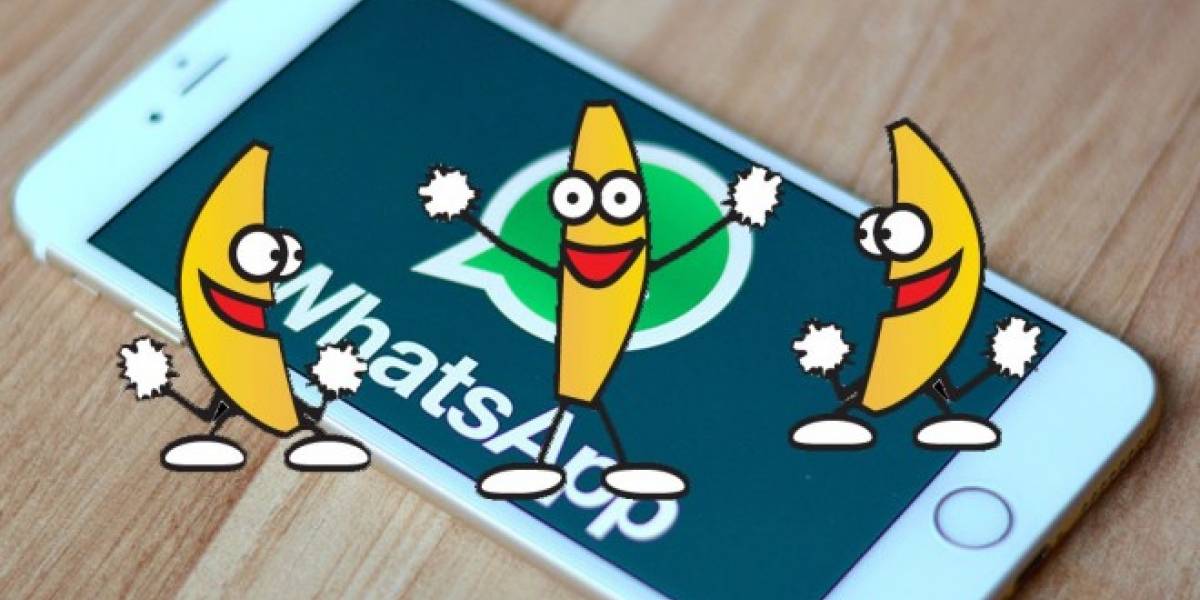 WhatsApp se actualiza en iOS y ya soporta GIFs animados