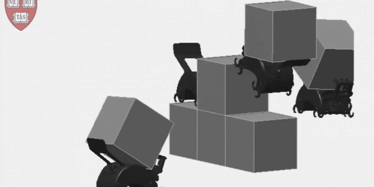 Científicos de Harvard diseñan robots termita