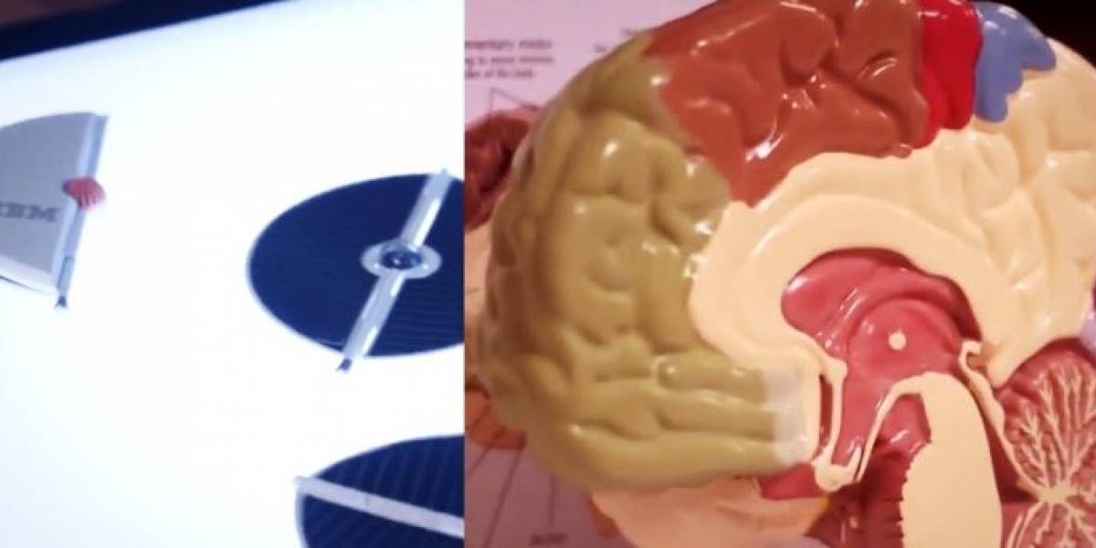 IBM crea software para chips que imitan la función del cerebro humano