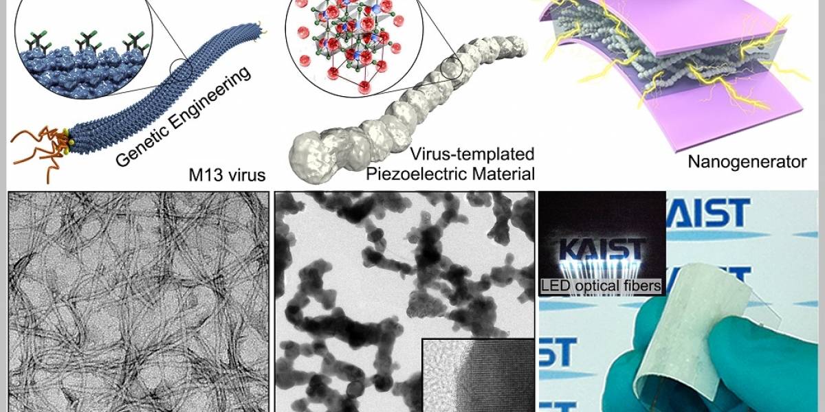 Construyen nanogeneradores con ayuda de virus sintético