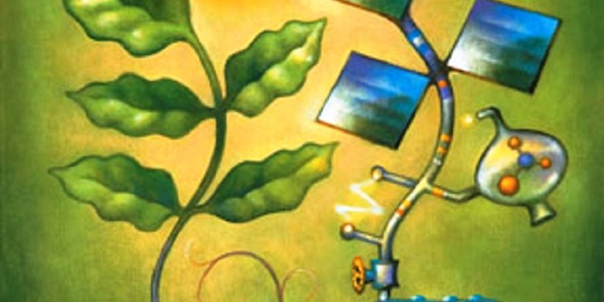 Desarrollan hoja artificial que convierte agua en hidrógeno y oxígeno