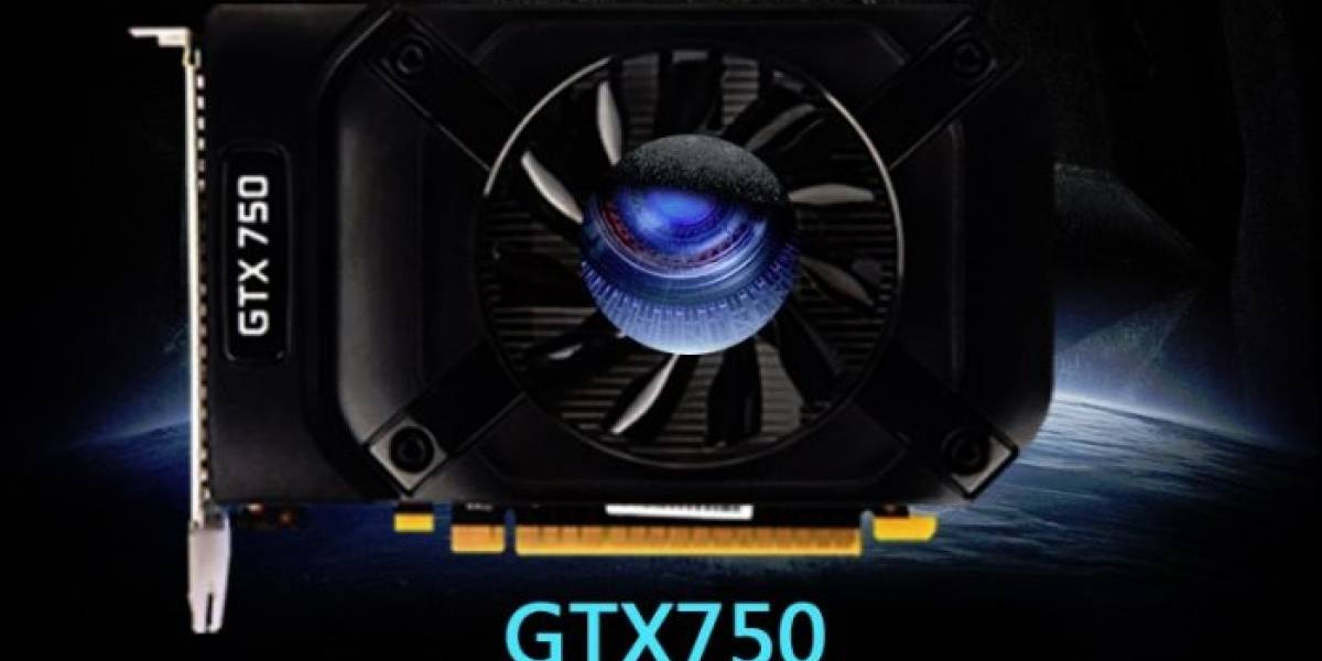 GeForce GTX 750 de referencia posa para la cámara