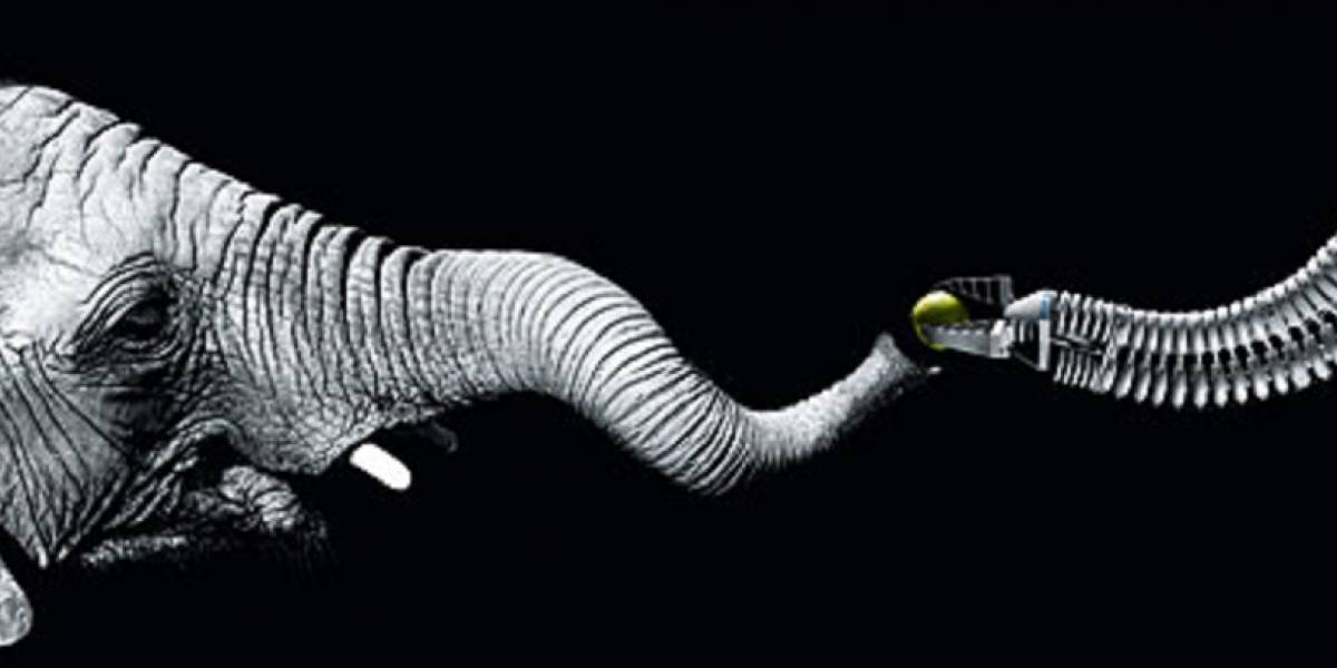 Trompa de elefante robótica aprende movimientos como un niño
