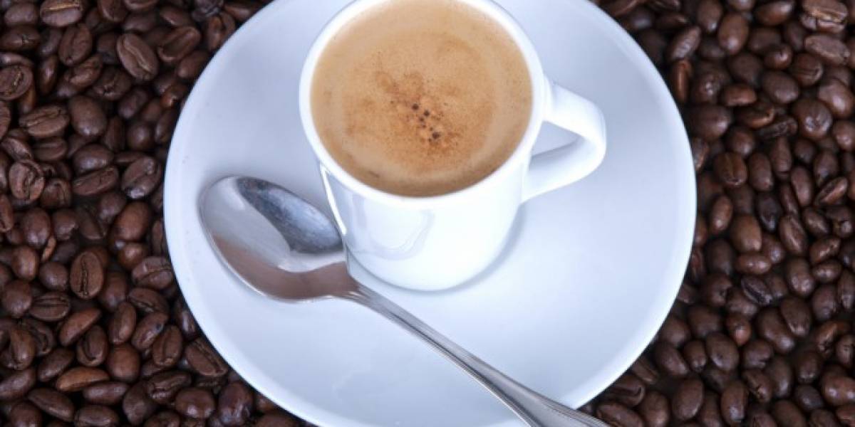 Experimento confirmaría que la cafeína potencia la memoria