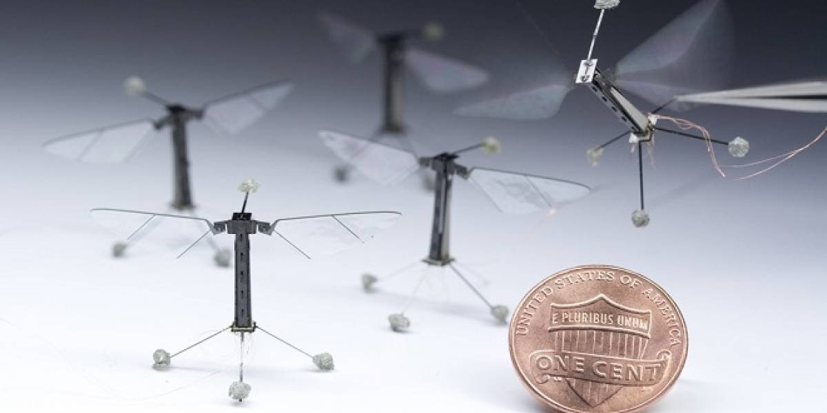 Conoce a RoboBee: El robot mosca, inspirado en la biología de los insectos