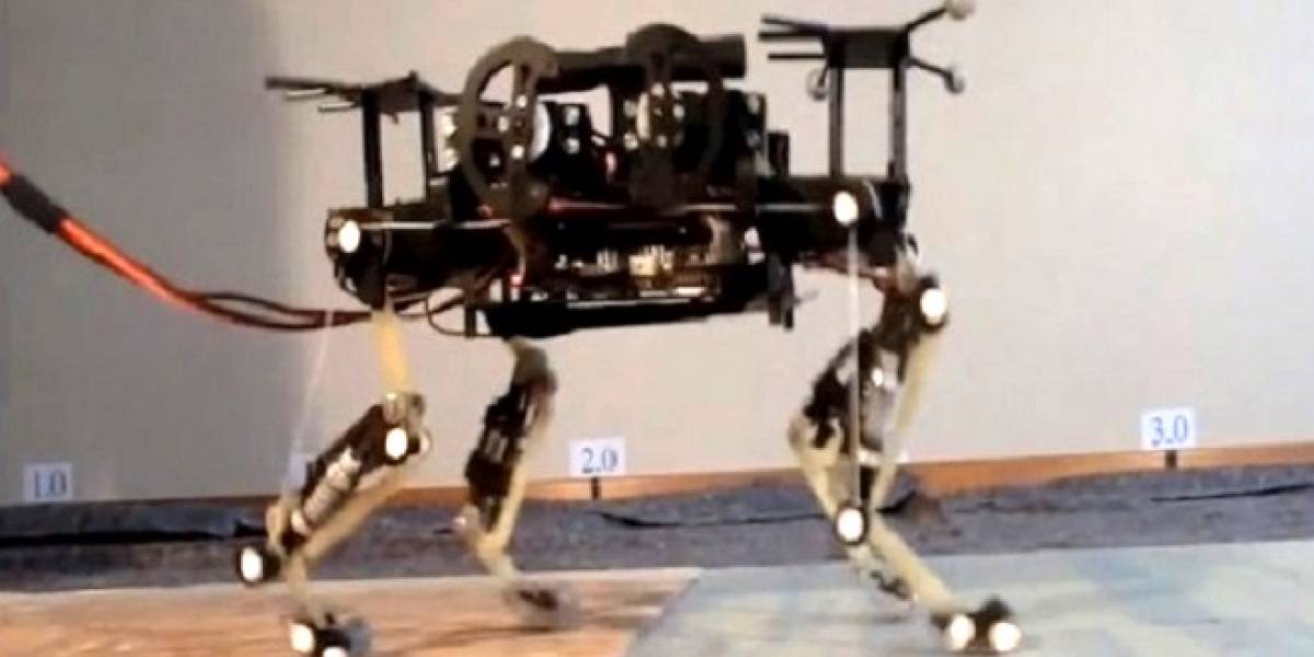 Conoce a Cheetah-Cub: El nuevo robot guepardo