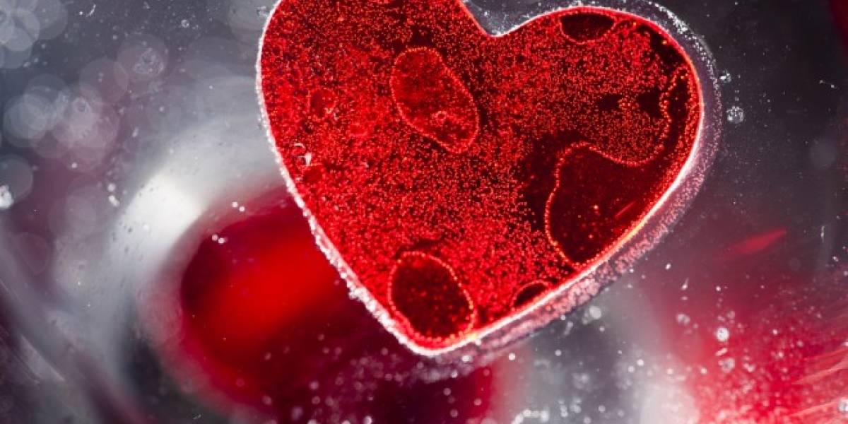 Células madre disminuyen envejecimiento del corazón, revela estudio
