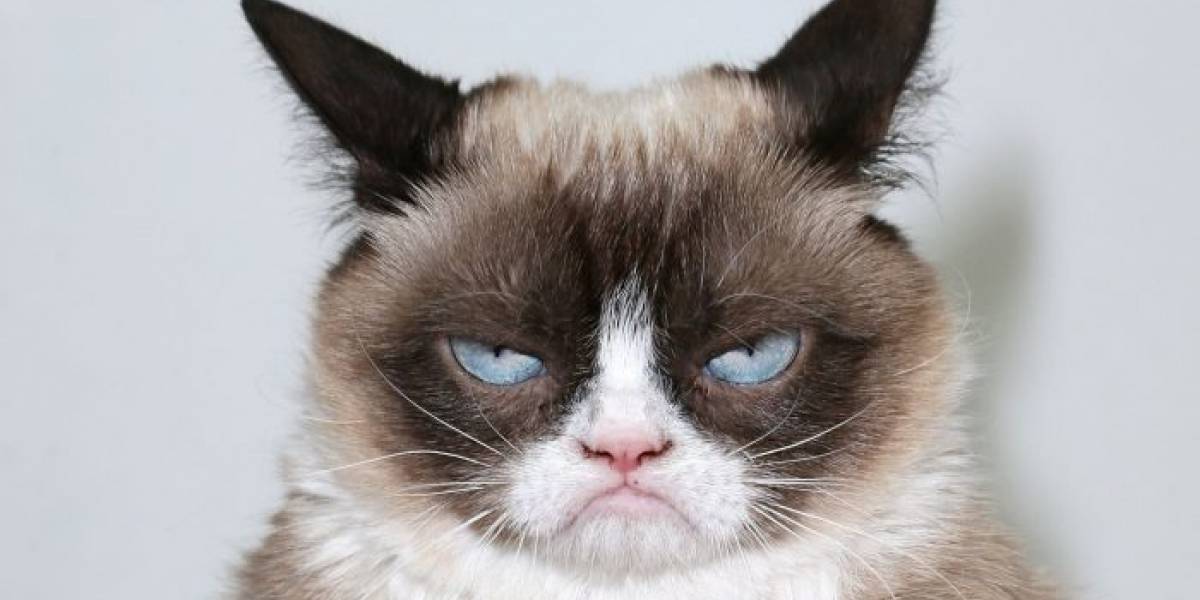 Así luce el gato con jetpack que iba a ser un héroe de Overwatch