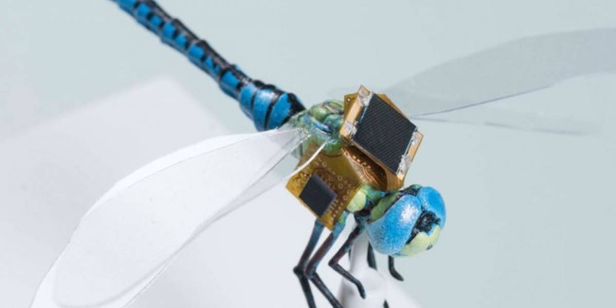 Científicos alteran genéticamente a libélulas para convertirlas en drones