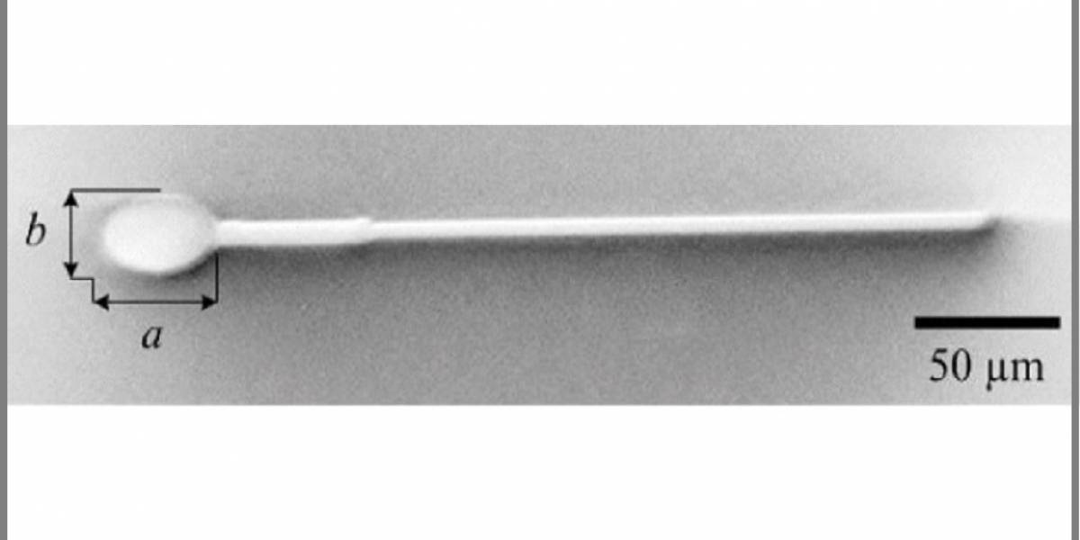 Crean nanorobots en forma de espermatozoide