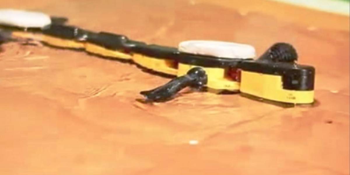 Crean salamandra robot que camina en tierra y nada en agua