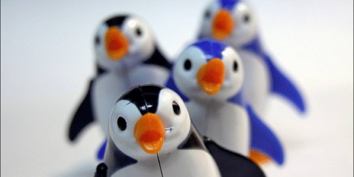 12 GPUs/IGPs de Intel, NVIDIA y AMD probados con sus driver Open-Source y privativos
