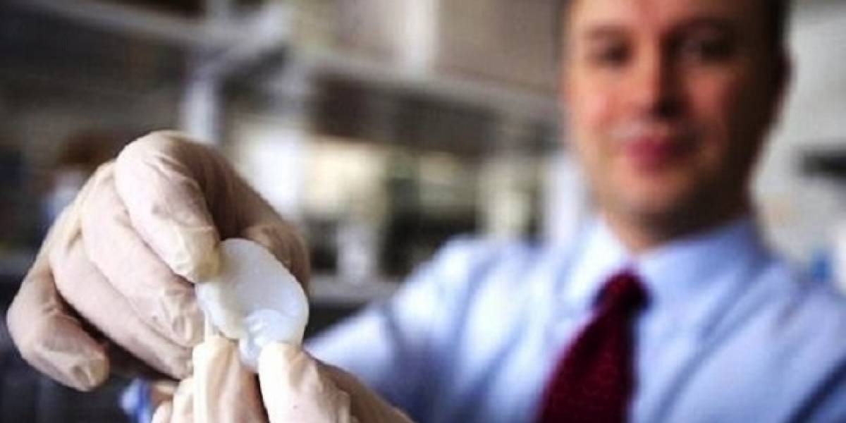 Muestran una oreja fabricada con una bioimpresora 3D
