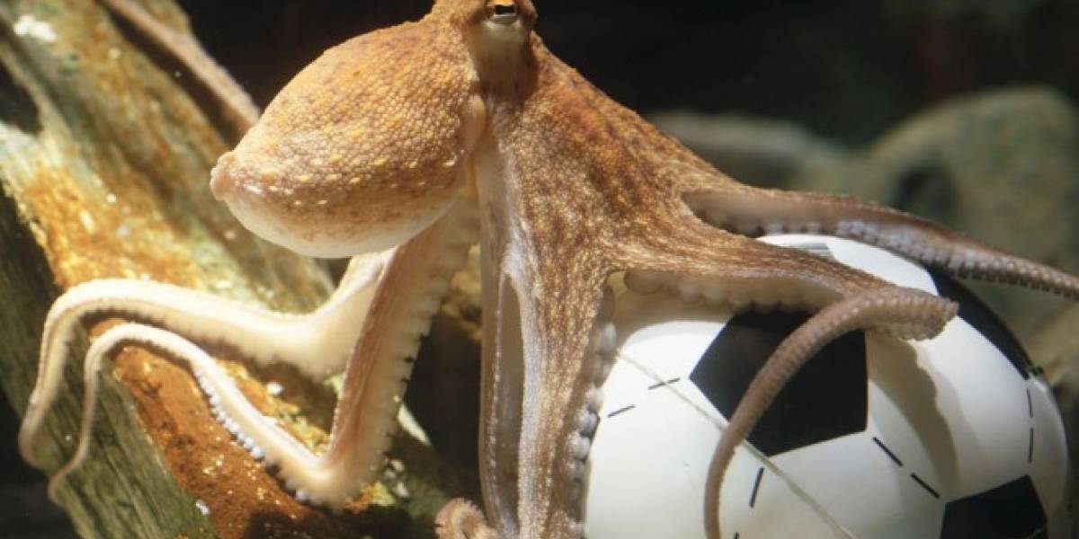¿Se puede predecir al ganador del Mundial?
