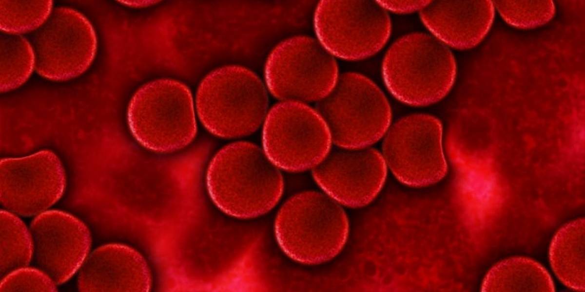 Científicos consiguen cultivar células madre de sangre