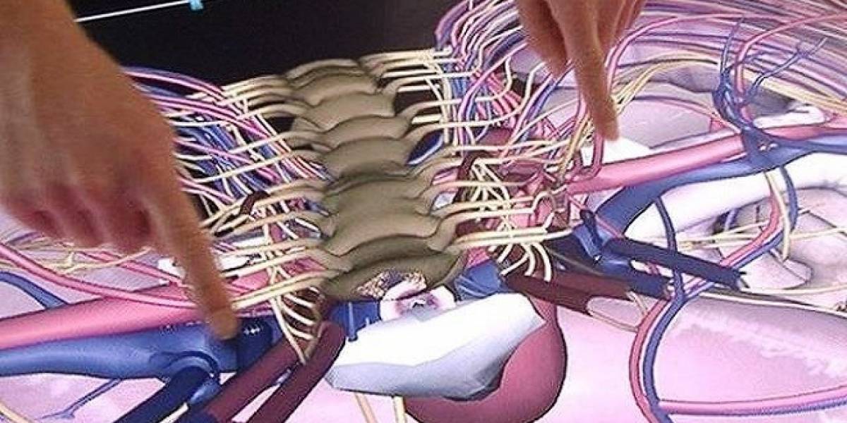 Personal médico practica con pacientes virtuales en un sistema 3D de ultra definición