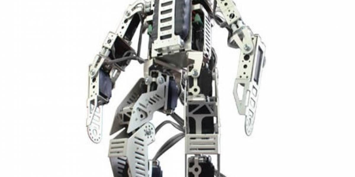 Pirkus-R Type-01 DX: El robot fisonomista