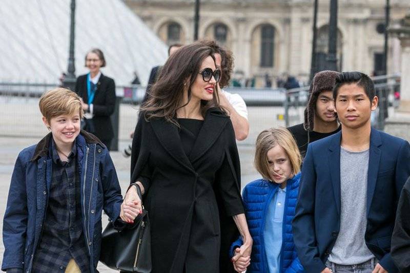hijos de angelina jolie