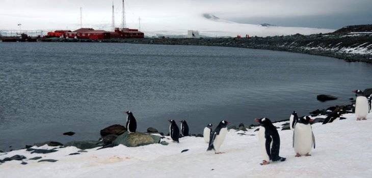 Antártica