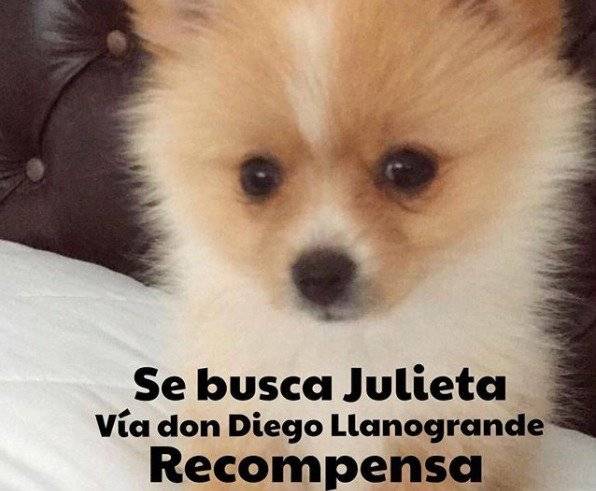 Se busca a Julieta Maluma