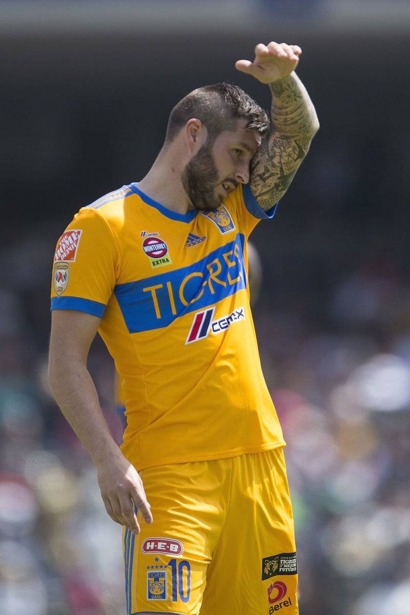 Tigres