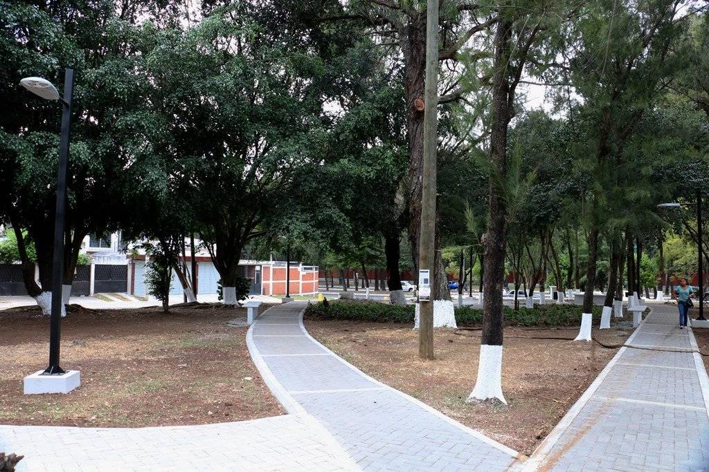 Parque 11