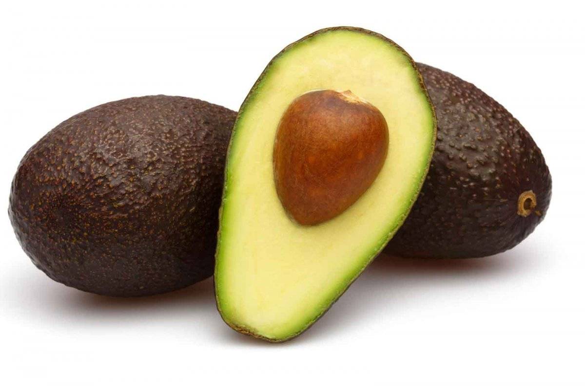 aguacate