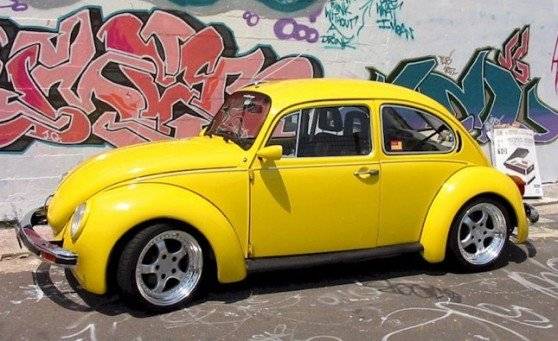 beetle558x341.jpg
