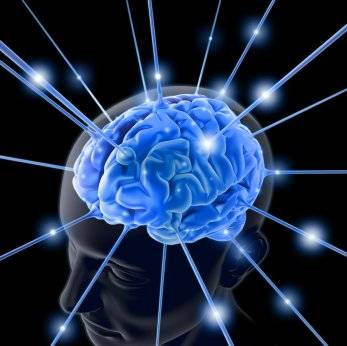 brain7639821.jpg