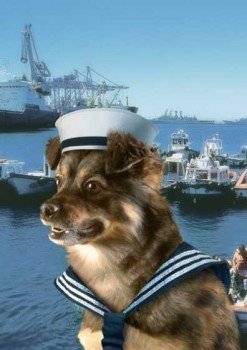 perritolipigas247x350.jpg