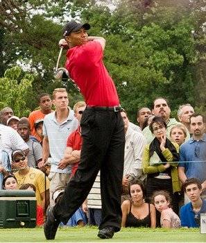 tiger297x350.jpg