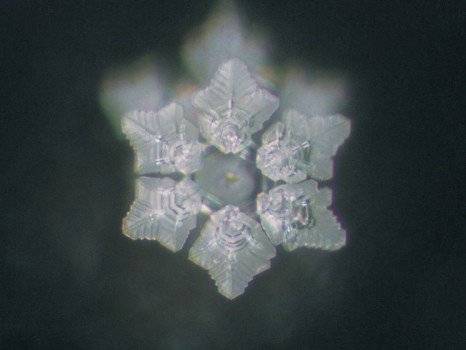 watercrystal466x350.jpg