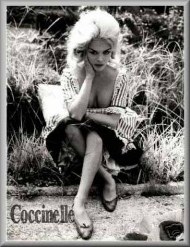 coccinellesexy.jpg