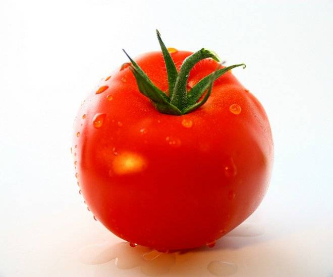 foto12.jpg