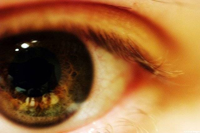 ojo-1.jpg