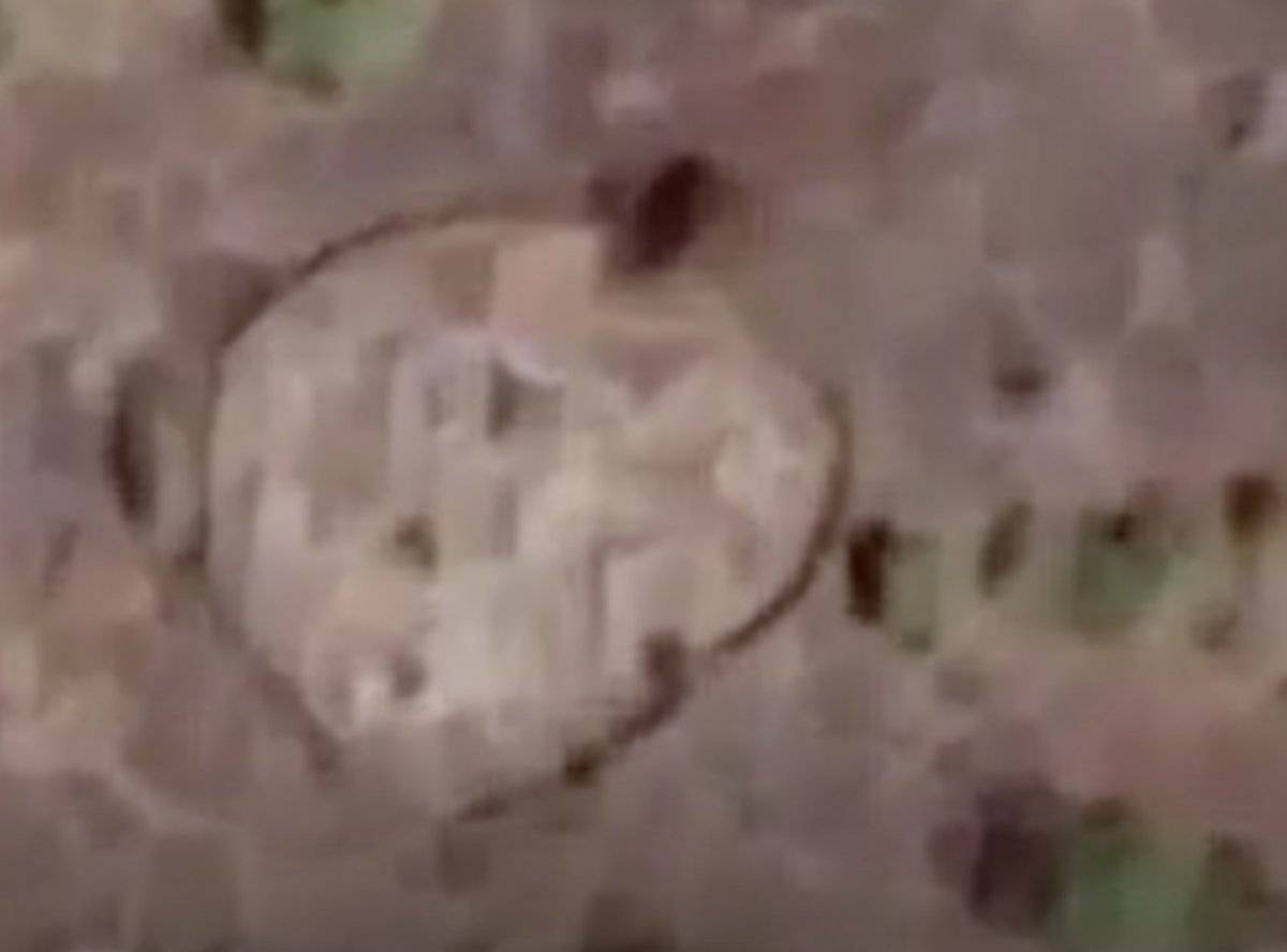 capturadepantalla20180211alas001538 a94894ce1bec624bb39e55cb0a0b024f 1200x0 Captan supuestos círculos extraterrestres en Indonesia
