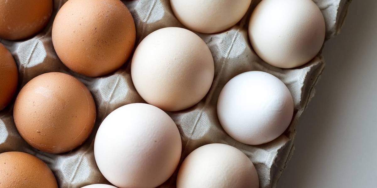Piden mil 500 huevos para atletas olímpicos y les entregan 15 mil por error