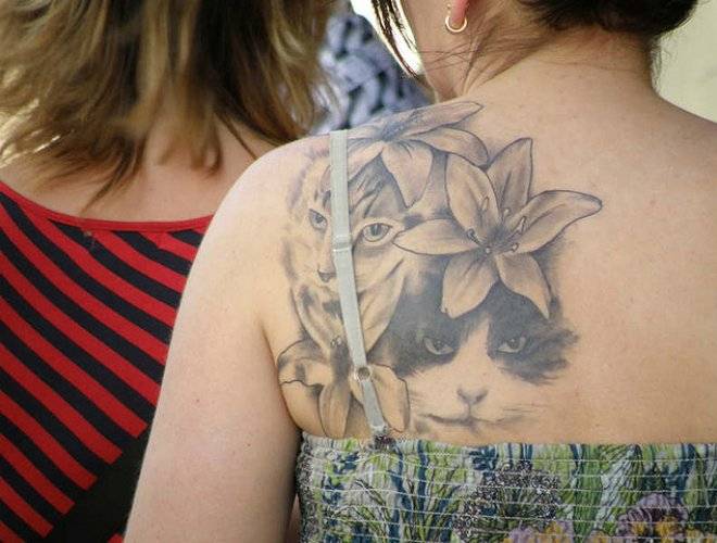 42420081078157e926abz.jpg