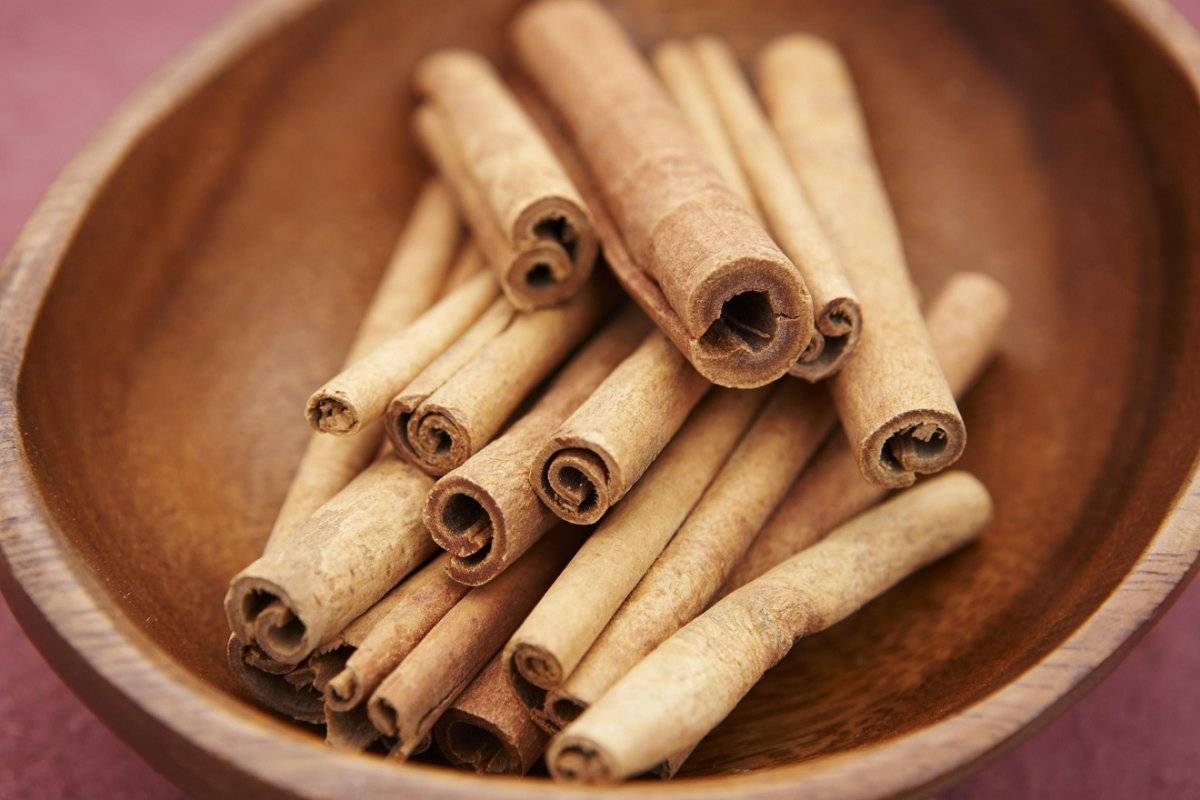canela1.jpg