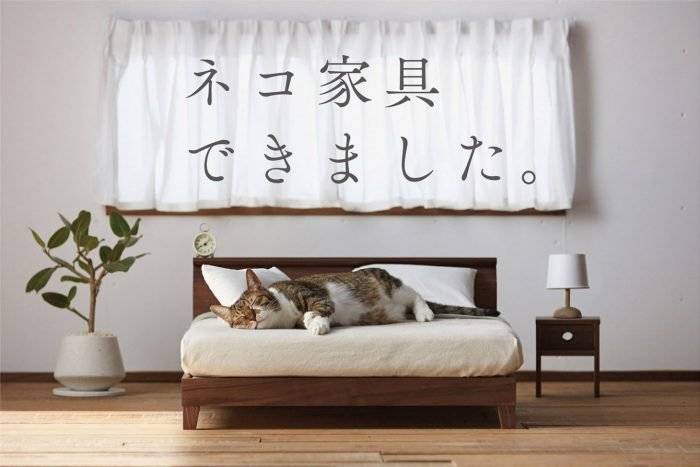catfurnitureokawacity0021440x960700x467.jpg